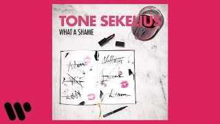 Tone Sekelius - What A Shame (Official Audio)