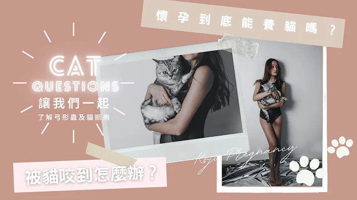 KOJI PREGNANCY‘怀孕真的不能养猫吗？’| 怀孕期间被猫咬或抓到怎么办？| 让我们一起认识及预防感染弓形虫 | 了解猫抓病及处理方法 - 天天要闻