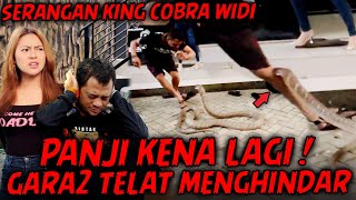 BABY SHIMA KETAKUTAN LIAT PANJI DIPATOK ! JAUH2 DARI MALAYSIA BUAT KETEMU KING COBRA WIDI.