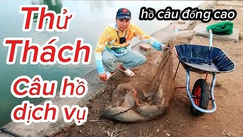 THỬ THÁCH CÂU HỒ DỊCH VỤ - TẠI HỒ CÂU ĐỐNG CAO| TÉT HƯƠNG LIỆU CÂU CHÉP THỊNH XE RÙA|QUẤN Ổ CHÉP MỚI