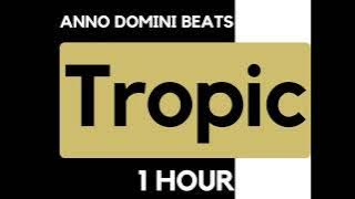 Anno Domini Beats - Tropic [1 HOUR Loop]
