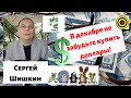 Сергей Шишкин - В декабре не забудьте купить доллары!