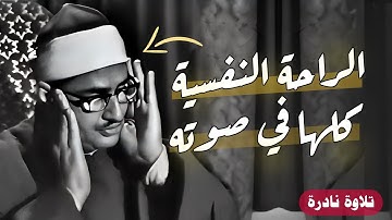 إبداعات منشاوية .. تلاوة عذبة تملئ القلوب خشوعاً للشيخ محمد صديق المنشاوي