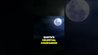 Artemis Program Paving The Way For A Lunar Future シ