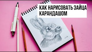 КАК НАРИСОВАТЬ ЗАЙЦА ПРОСТЫМ КАРАНДАШОМ. Рисунок для начинающих by katarsio 39 views 2 months ago 11 minutes, 1 second