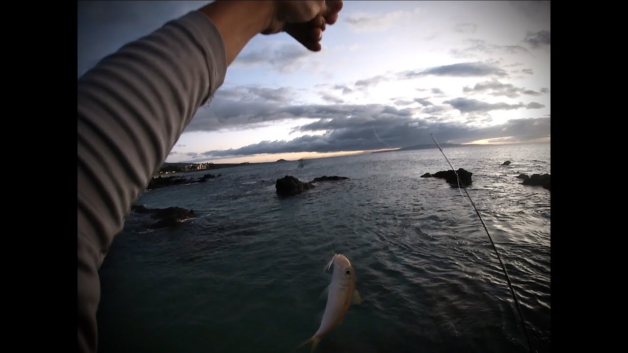 Hawai’i Fishing Episode 4 Small Game Fishing YouTube