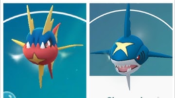 Evolving purified Carvanha into Sharpedo | water/dark pokemon | pokemon go |