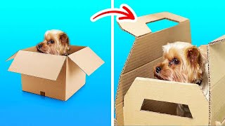 Easy and Amazing Cardboard Crafts