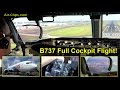 Air Vanuatu Boeing 737-800 STUNNING Sydney Cockpit Landing with ATC and FULL FLIGHT! [AirClips]