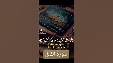 سورة الفيل #quran #اكسبلور #دويتو #duet #دعاء #دعاءمستجاب #تيك_توك #صباحالخير #answer #لايك
