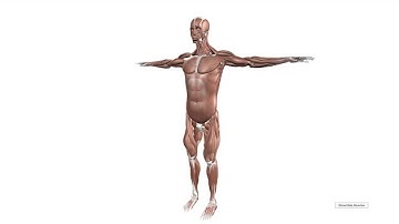 Augmented Studio: Projection Mapping on Moving Body for Physiotherapy Education