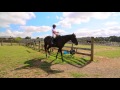 2208 Buckland Road Pukekohe 2677 Waikato 2208 Buckland Road Pukekohe 2677 Waikato