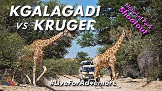 Kgalagadi Transfrontier Park vs Kruger National Park 🇿🇦