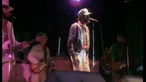 Sloop John B by The Beach Boys live (1980)