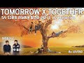 TXT 5시 53분의 하늘에서 발견한 너와 나 M/V Reaction l TOMORROW X TOGETHER M/V Reaction