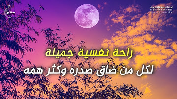 وما من دابة في الأرض إلا على الله رزقها || تلاوة سورة هود القارئ اسلام صبحي