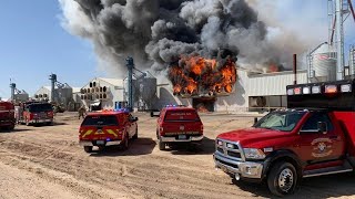 165K hens dead after massive barn fire at Hickman's Family Farm