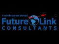 Future link consultants