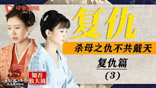 【知否放大镜30】复仇篇(3)🔥杀母之仇不共戴天!#知否 #赵丽颖 #盛明兰 #冯绍峰 #顾廷烨