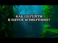 Земля стремительно меняет свои параметры и входит в Новую Реальность. Как перейти в Новый Мир?