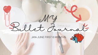 My Bullet Journal Jan-June First 6 Months Flickthrough