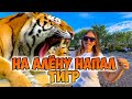 САФАРИ ПАРК - Тайган 2021 | Кормление львов | Что посетить в Крыму?
