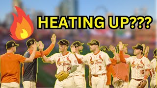 Don't Let The St. Louis Cardinals Get Hot!