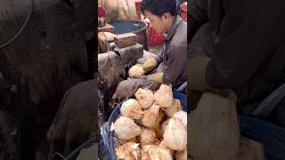 Coconut Cutting Skill - Fruits Cutting Skill