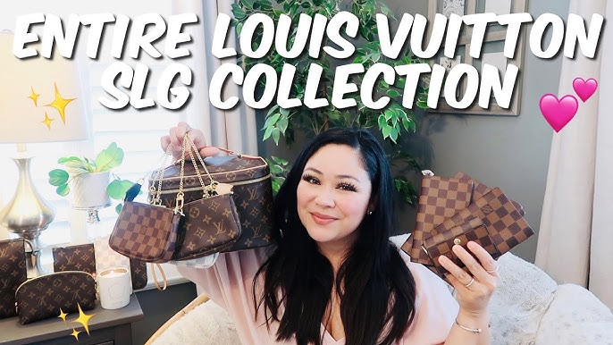 Louis Vuitton small leather goods  Louis vuitton purse, Louis vuitton bag,  Louis vuitton handbags