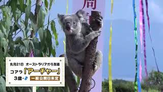 Hirakawa Zoological Park celebrates its 50th anniversary and