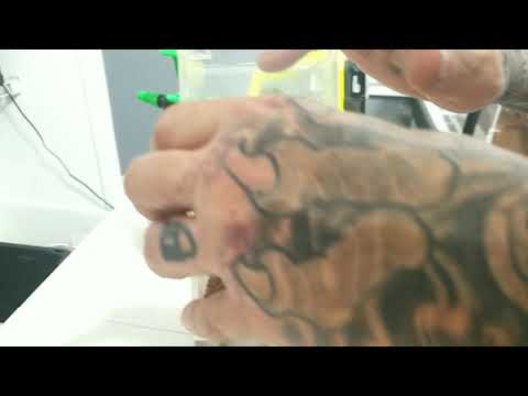 Mantids and Curly Hair rehouse