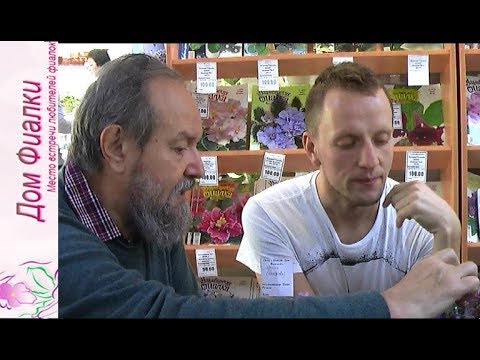 ДФ. И.Рачков 'Селекция 'Вологодская- '