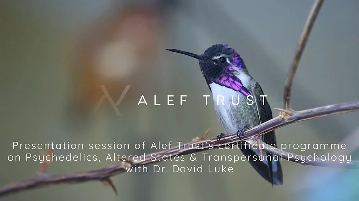 Course Presentation: Psychedelics, Altered States & Transpersonal Psychology with Dr. David Luke