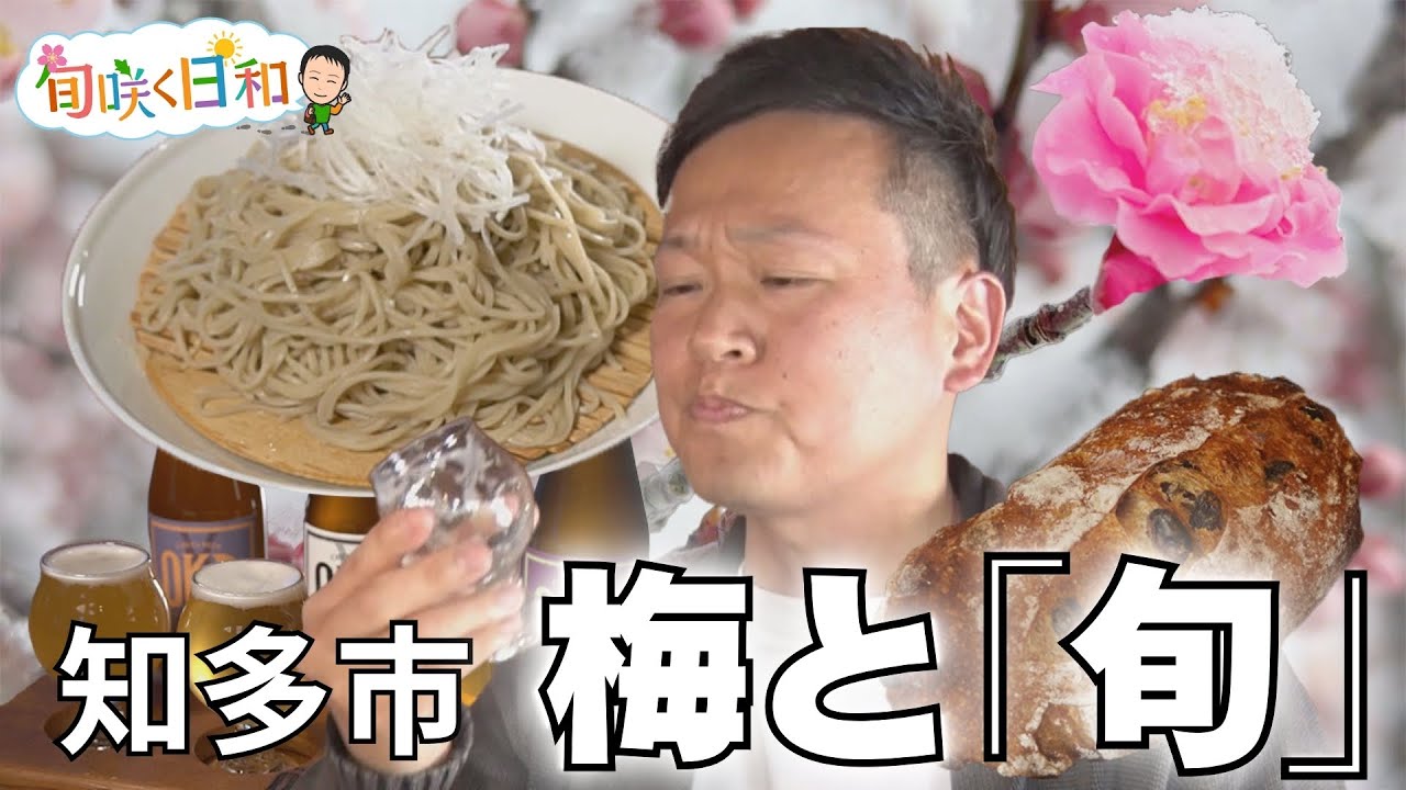 【旬咲く日和】知多市の梅まつりを探索　雪と梅の絶景コラボレーション花見