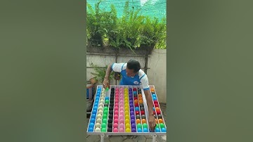 Game Challenge Sort Color Ball Puzzle #game #challenge #sortvideo #puzzle .