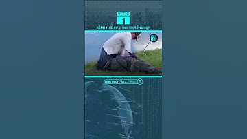 Đang đi dạo, cụ bà bất ngờ bị cá sấu kéo xuống hồ nước | VTC1