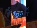 SKYPARK  河合奈保子弾き語りカバー