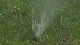 Water shortage warning lifted for Miami-Dade after recent rainfall