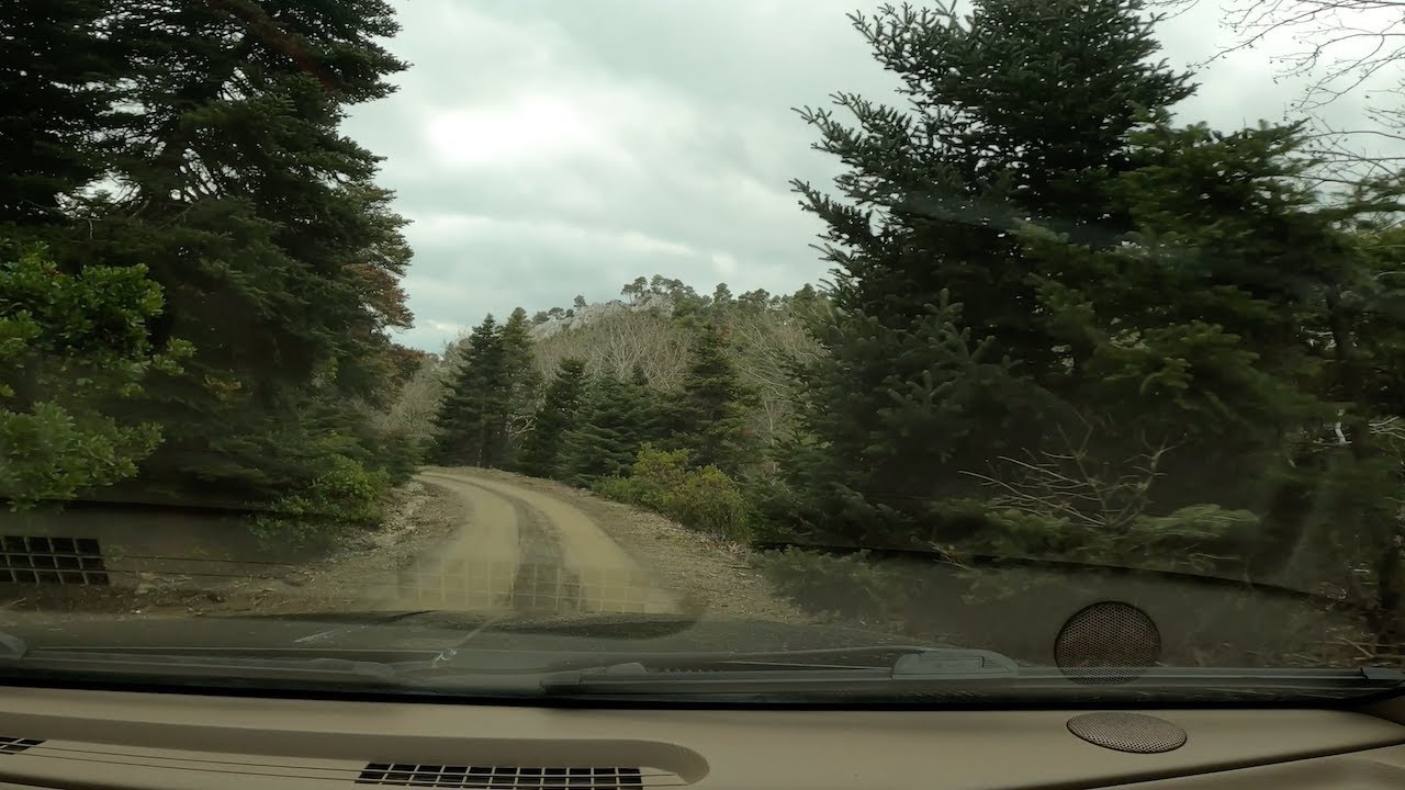 Ρέμα Γκούρας προς Φυτώριο Πάρνηθας - Δασικός δρόμος - Forest Service Road Mt Parnitha, Greece