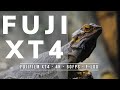 How Good Is Fujifilm XT4 for VIDEO?! FREE sample footage