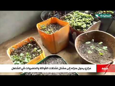 هكذا حول مزارع منزله إلى مشتل لشتلات الفواكه والخضروات في الشاهل حجة