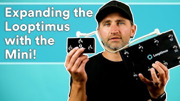 Expanding the Looptimus with the Looptimus Mini