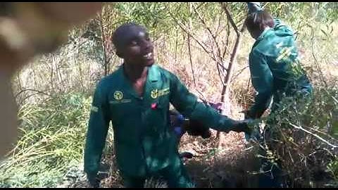 Clearing of invasive alien plants begins in valley