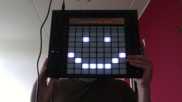 Flying lotus attempt with Ableton push and a cat