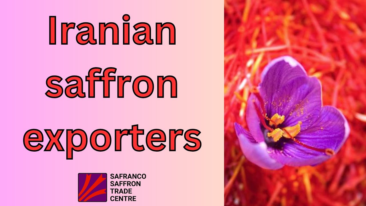Unveiling the Finest Iranian Saffron Exporters: Introducing Safranco Saffron Trade Centre Ltd