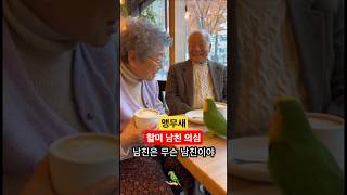 앵무새가 할머니 남친 보자 보인 재미있는 반응