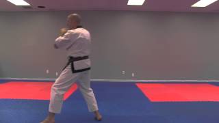 Basic Form 2 / Gi Cho Hyung E Bu