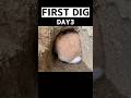 Rabbit’s First Dig 🐰