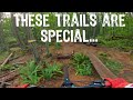 What Makes a Great Mountain Bike Trail? (4K) // Double D, Mt. Tzouhalem 2021 // Cowichan Valley, BC