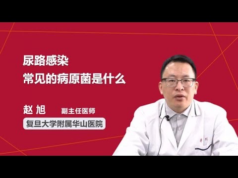 尿路感染常见的病原菌是什么 赵旭 复旦大学附属华山医院